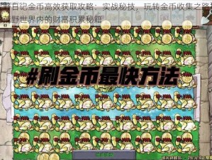 荒野日记金币高效获取攻略：实战秘技，玩转金币收集之路揭秘荒野世界内的财富积累秘籍