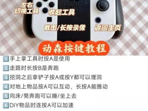 糖豆人Switch操作指南：全面解析手柄键位布局