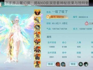 天下手游云麓幻境：揭秘60级溟澄套神秘效果与独特魅力