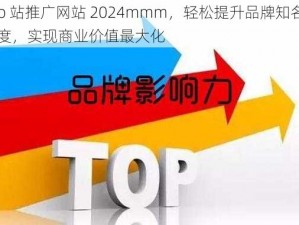 b 站推广网站 2024mmm，轻松提升品牌知名度，实现商业价值最大化