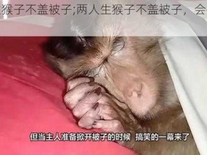 两人生猴子不盖被子;两人生猴子不盖被子，会有什么后果？