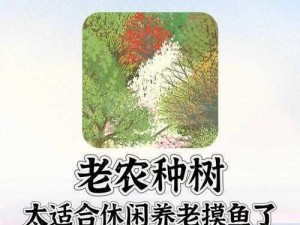 老农专注种树模式：绿意盎然与生态价值的深度融合