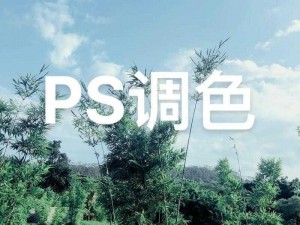 免费 Ps 一二级调色大片，专业品质，轻松上手