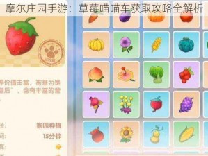 摩尔庄园手游：草莓喵喵车获取攻略全解析