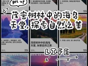 费伍德森林部落鸟点坐标：揭秘古老部落与自然和谐共生的生态秘境之旅