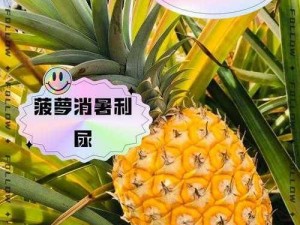 大菠萝福建导入2024-如何将大菠萝福建导入 2024？