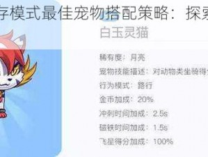 天天酷跑生存模式最佳宠物搭配策略：探索顶级宠物助力生存之道