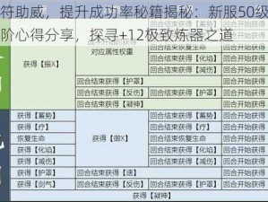 炼器符助威，提升成功率秘籍揭秘：新服50级内炼器进阶心得分享，探寻+12极致炼器之道