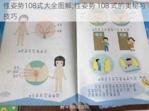 性姿势108式大全图解;性姿势 108 式的奥秘与技巧