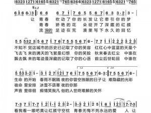 《追梦人，以你为我的流川枫、大英雄共谱恋歌》