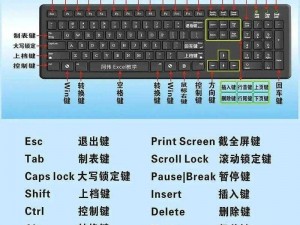 剑圣一族键盘说明书：详细操作指引与实用教程