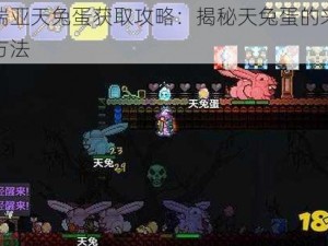 泰拉瑞亚天兔蛋获取攻略：揭秘天兔蛋的来源与获取方法