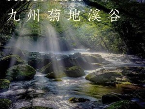 妄想山海逍遥蛟神秘地点揭秘：探寻神秘生物的栖息之所