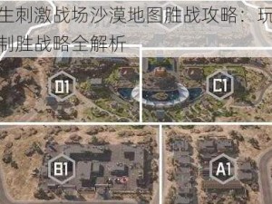 绝地求生刺激战场沙漠地图胜战攻略：玩转沙丘地形，制胜战略全解析