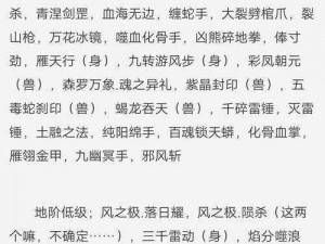 刀剑斗神传灵仙版玩法指南：深入解析职业技能与刀剑斗技精髓