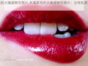 丰满多毛的大隂唇特写图片,丰满多毛的大隂唇特写图片：女性私密部位的真实写照