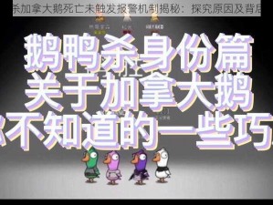 鹅鸭杀加拿大鹅死亡未触发报警机制揭秘：探究原因及背后真相