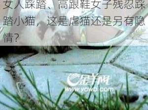 女人踩踏、高跟鞋女子残忍踩踏小猫，这是虐猫还是另有隐情？