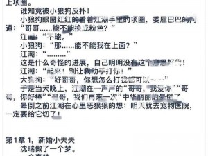 高清视频，车文详细描写文字，给你身临其境的感受