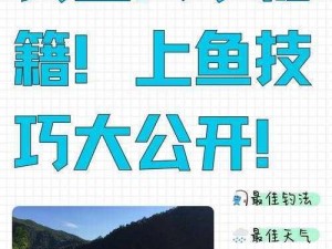 海岛纪元：掌握钓鱼技巧，成为钓鱼达人攻略