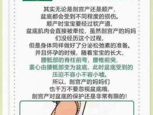 991精产三产区区别-991 精产三产区有哪些区别？