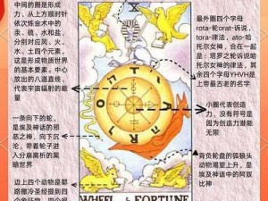 疼痛之轮wheelofpain,探索疼痛之轮 wheel of pain：痛苦的根源与解脱之路