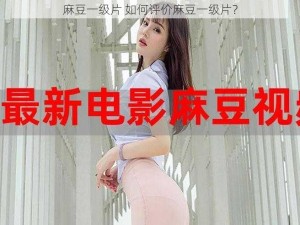 麻豆一级片 如何评价麻豆一级片？