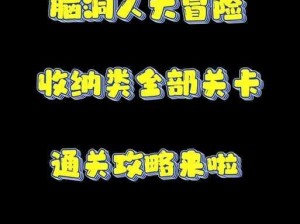 脑洞人大冒险收纳达人悠闲小家第8关突破指南：细节攻略助你轻松闯关