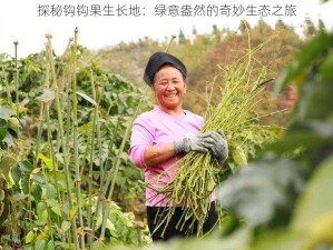 探秘钩钩果生长地：绿意盎然的奇妙生态之旅