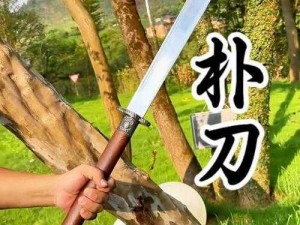 三国大亨之朴刀武器深度解析：探究朴刀的实力与价值分析