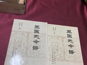 日本三国志揭秘三国历史之谜，探寻中国阴阳师传承的千年智慧之源