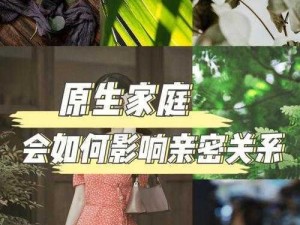 儿媳妇的奇妙人生角色介绍：家庭关系的奇妙纽带