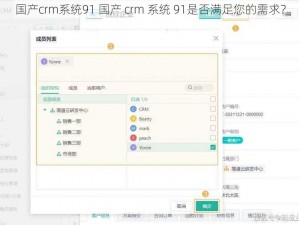 国产crm系统91 国产 crm 系统 91是否满足您的需求？