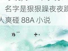 狠狠躁夜夜躁人爽碰88A小说;求一本小说，名字是狠狠躁夜夜躁人爽碰 88A 小说