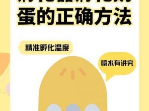 从零开始：鹅蛋孵化全教程，教你如何成功孵化鹅蛋