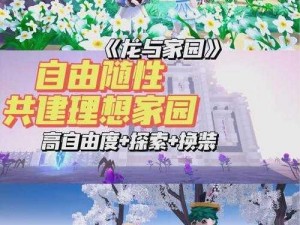 龙与家园萌新成长宝典：全方位攻略指南，助你快速融入奇幻世界