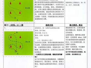 以绿茵信仰技巧教学为核心，激发足球运动激情的全方位教学指南