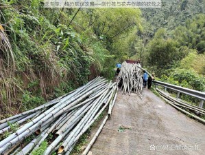 晴天专享：楠竹砍伐攻略——剑竹筏与花卉伴随的砍伐之旅