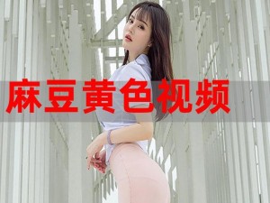 麻豆视频入口_麻豆视频的入口在哪里？