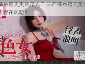 国产精品密天美传媒入口 国产精品密天美传媒入口是否存在风险？