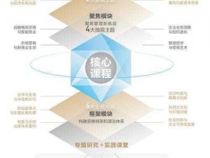 明星大亨培训中心系统全面解析：从课程设计到实施运营