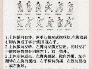 太极迷阵第四十关攻略：深度解析，轻松过关秘籍