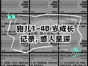 狗儿长大了1—52(狗儿长大了 1—52：它的成长故事)