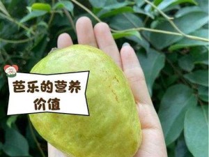 草莓丝瓜榴莲芭乐18岁卍,草莓丝瓜榴莲芭乐 18 岁卍：探索水果与年龄的奇妙关联