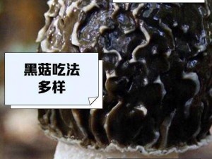 蘑菇蘑菇 7 爆料黑料——专业的爆料平台，提供最新最全面的黑料资讯