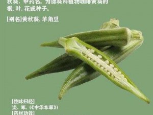 秋葵适合未满十八岁的人吃吗-秋葵适合未满十八岁的人食用吗？