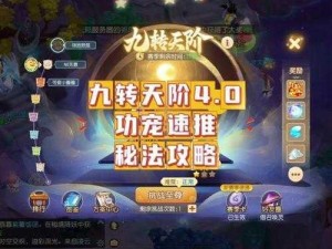 梦幻西游无双2英雄大会攻略：实战策略助你上分快车道，轻松登顶荣耀之巅