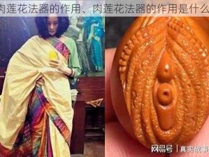 肉莲花法器的作用、肉莲花法器的作用是什么？