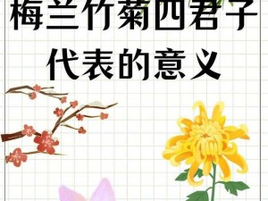 国产做受XXX入口竹菊;国产做受 XXX 入口竹菊，真的有那么好用吗？