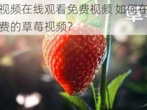 草莓视频在线观看免费视频 如何在线观看免费的草莓视频？